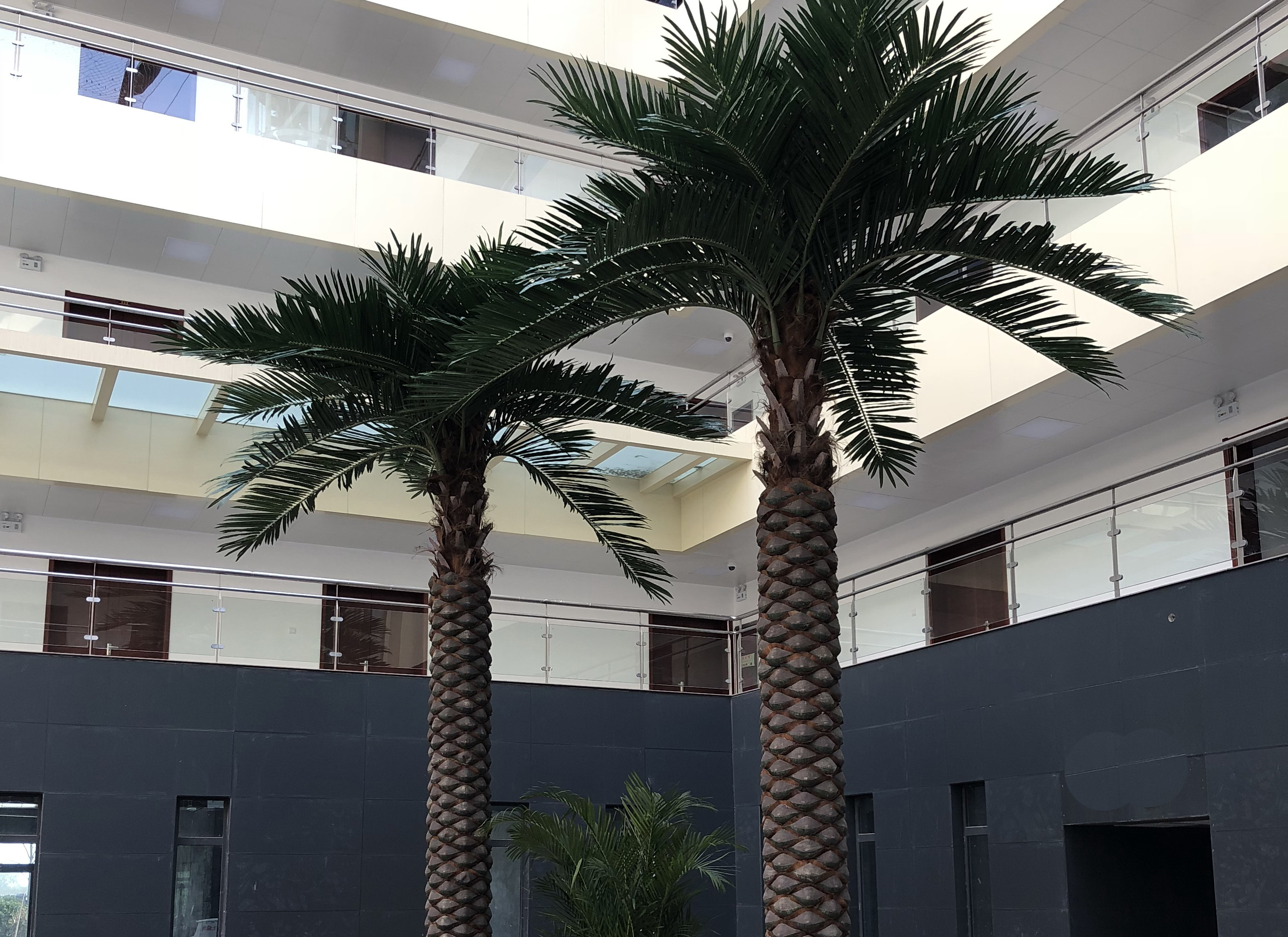 仿真植物定制海棗樹