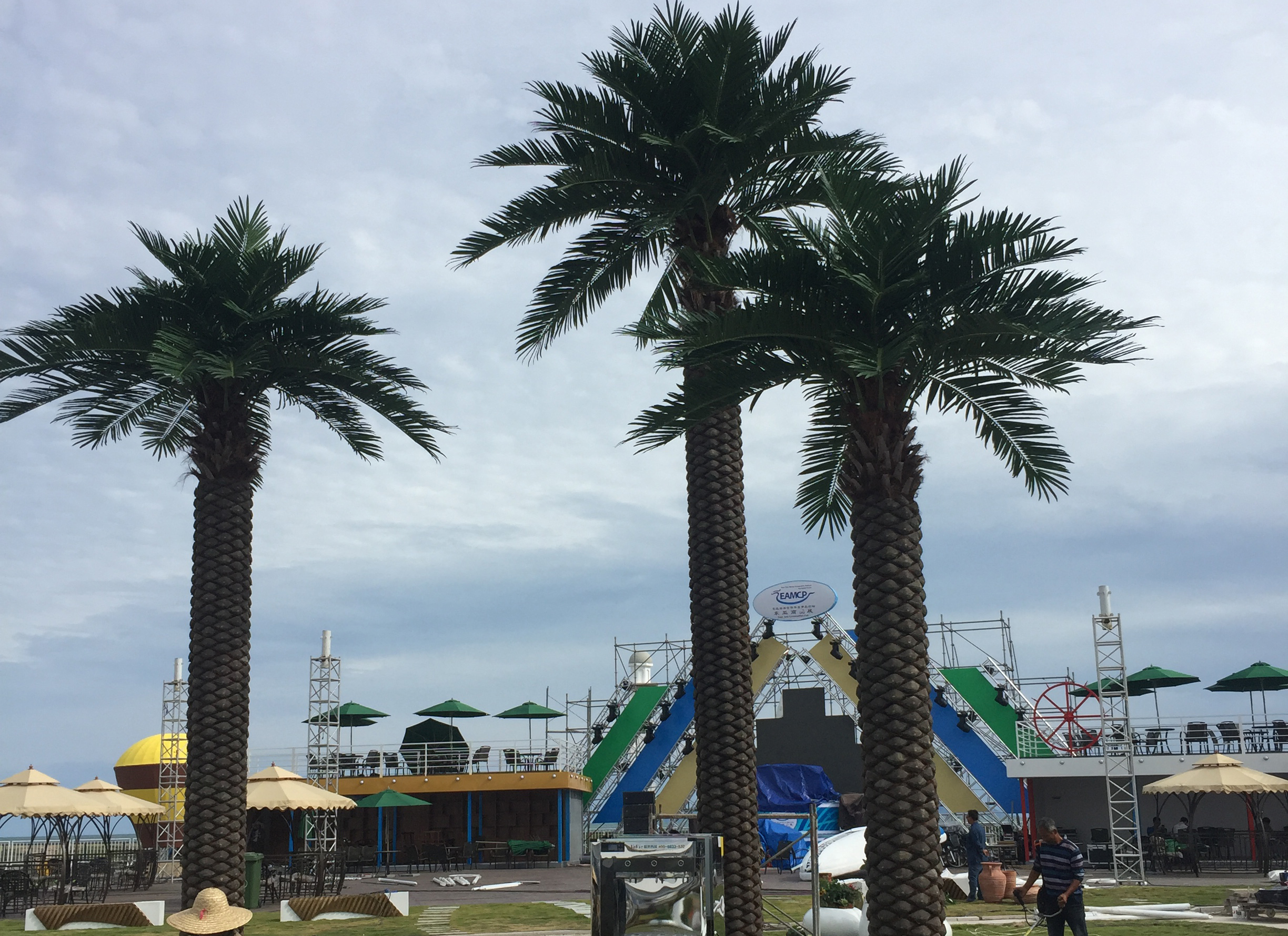 仿真海棗樹定制