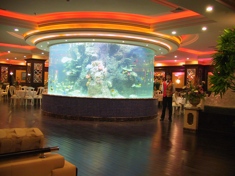 大型觀(guān)賞魚(yú)缸造景