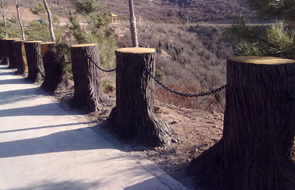 獅腦山旅游景區(qū)大型水泥仿木樹樁